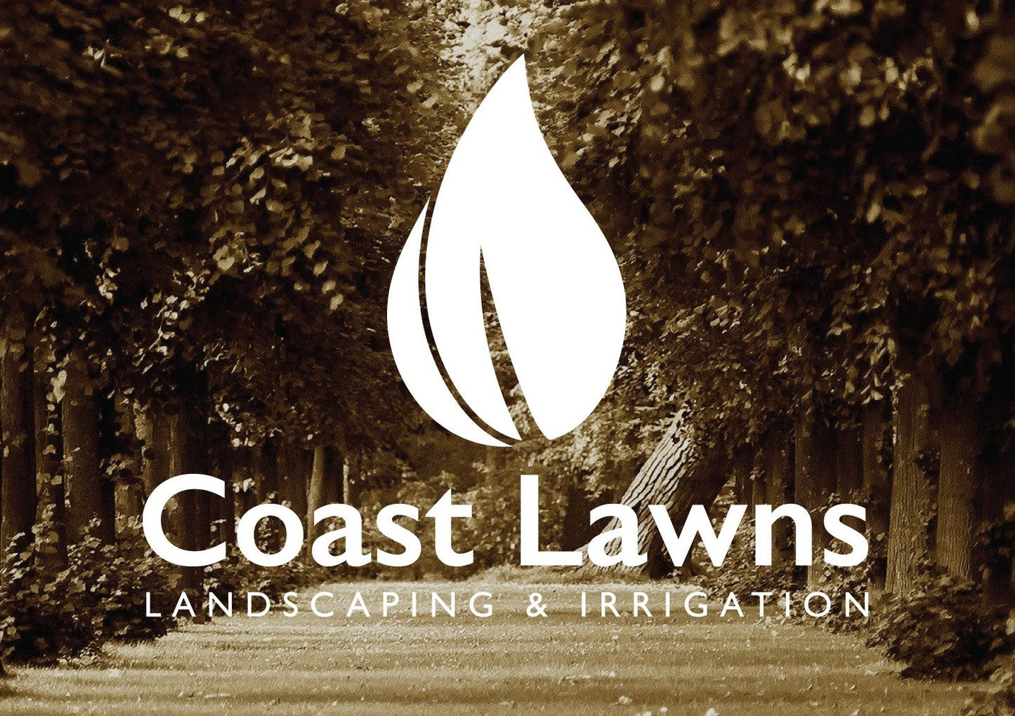 Lawn Care Logo Design | Logo Design | Landscaping Logo | Lawn Maintenance Logo | Leaf Design | Leaf Logo